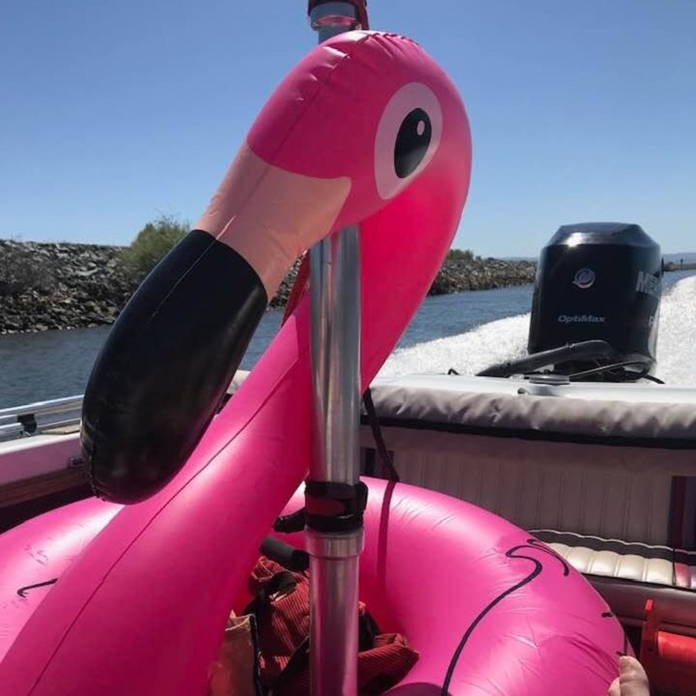 Meet your Posher, Dorreen